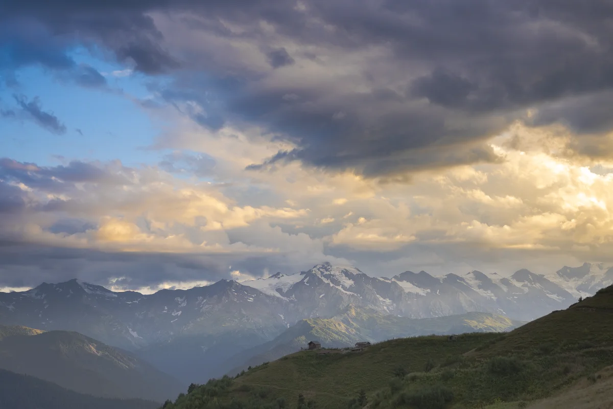 დოკუმენტური ფილმი აღბეჭდავს პროექტის საველე სამუშაოებს და შექმნილი იქნება ისე, რომ შედეგები მიაწოდოს ფართო აუდიტორიას მარტივად გასაგები და საინტერესო ფორმით.